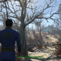 Fallout 4 �������� �������� �������� ���� ��������