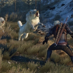 CD Project ���������� ��� ����� ���������� Witcher 3: Wild Hunt